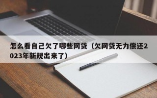 怎么看自己欠了哪些网贷（欠网贷无力偿还2023年新规出来了）