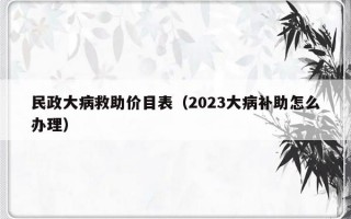 民政大病救助价目表（2023大病补助怎么办理）