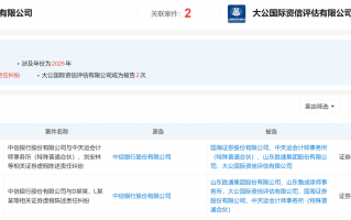 涉胜通集团600亿造假案，大公国际等中介机构再遭起诉追责，评级市场已生变|界面新闻