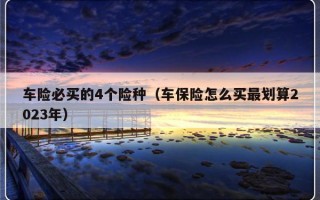 车险必买的4个险种（车保险怎么买最划算2023年）