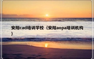 安阳cad培训学校（安阳aopa培训机构）