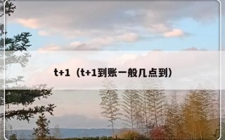 t+1（t+1到账一般几点到）