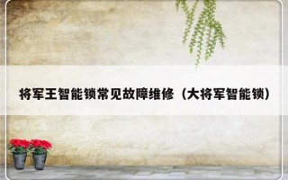 将军王智能锁常见故障维修（大将军智能锁）