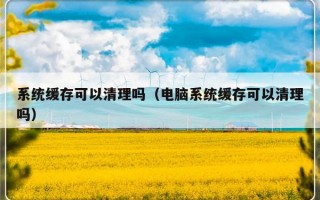 系统缓存可以清理吗（电脑系统缓存可以清理吗）