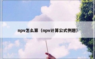 npv怎么算（npv计算公式例题）