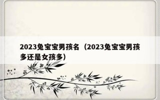 2023兔宝宝男孩名（2023兔宝宝男孩多还是女孩多）