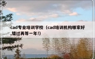 cad专业培训学校（cad培训机构哪家好,错过再等一年!）