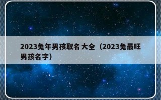 2023兔年男孩取名大全（2023兔最旺男孩名字）