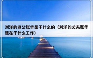 刘洋的老公张华是干什么的（刘洋的丈夫张华现在干什么工作）