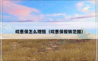 皖惠保怎么理赔（皖惠保报销范围）