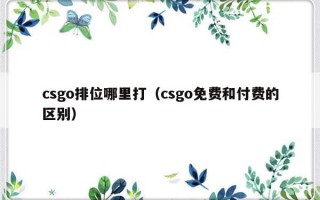 csgo排位哪里打（csgo免费和付费的区别）