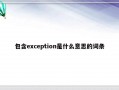 包含exception是什么意思的词条