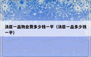 汤臣一品物业费多少钱一平（汤臣一品多少钱一平）