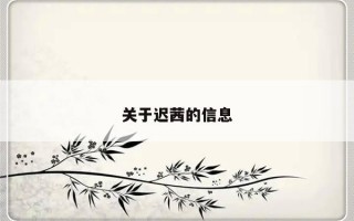 关于迟茜的信息