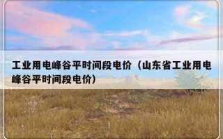 工业用电峰谷平时间段电价（山东省工业用电峰谷平时间段电价）