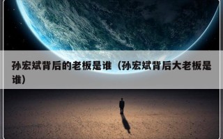 孙宏斌背后的老板是谁（孙宏斌背后大老板是谁）