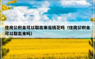 住房公积金可以取出来当钱花吗（住房公积金可以取出来吗）