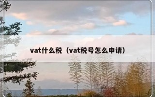 vat什么税（vat税号怎么申请）