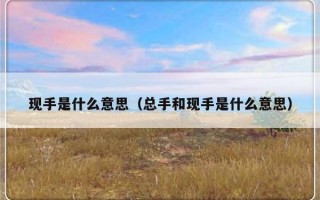 现手是什么意思（总手和现手是什么意思）