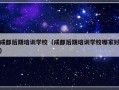 成都后期培训学校（成都后期培训学校哪家好）