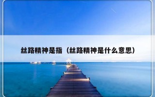 丝路精神是指（丝路精神是什么意思）