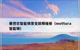 摹然尔智能锁常见故障维修（mottura智能锁）