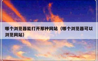 哪个浏览器能打开那种网站（哪个浏览器可以浏览网站）