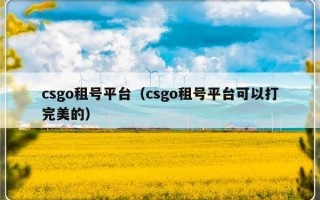 csgo租号平台（csgo租号平台可以打完美的）