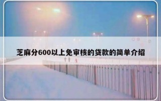 芝麻分600以上免审核的贷款的简单介绍