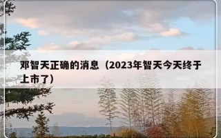 邓智天正确的消息（2023年智天今天终于上市了）