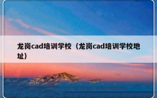 龙岗cad培训学校（龙岗cad培训学校地址）