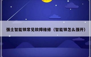 强士智能锁常见故障维修（智能锁怎么强开）