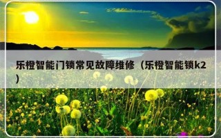 乐橙智能门锁常见故障维修（乐橙智能锁k2）