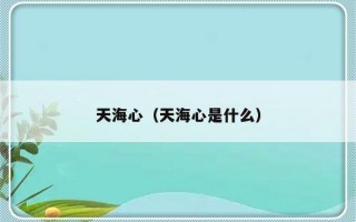 天海心（天海心是什么）