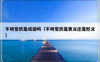 不明觉厉是成语吗（不明觉厉是褒义还是贬义）