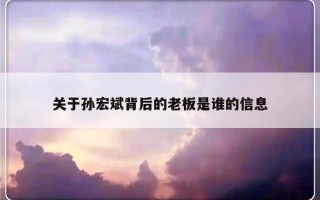 关于孙宏斌背后的老板是谁的信息