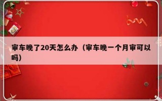 审车晚了20天怎么办（审车晚一个月审可以吗）