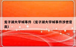 龙子湖大学城事件（龙子湖大学城事件涉世官员）