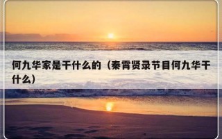 何九华家是干什么的（秦霄贤录节目何九华干什么）