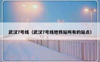 武汉7号线（武汉7号线地铁站所有的站点）