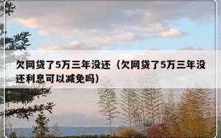 欠网贷了5万三年没还（欠网贷了5万三年没还利息可以减免吗）