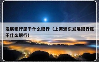 发展银行属于什么银行（上海浦东发展银行属于什么银行）