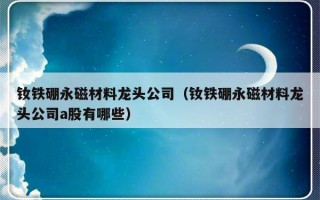 钕铁硼永磁材料龙头公司（钕铁硼永磁材料龙头公司a股有哪些）