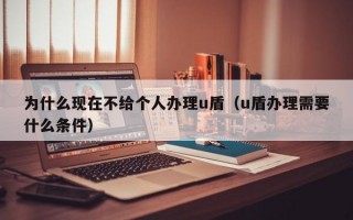 为什么现在不给个人办理u盾（u盾办理需要什么条件）