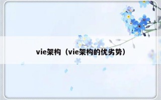 vie架构（vie架构的优劣势）