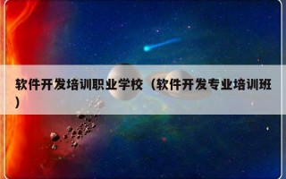 软件开发培训职业学校（软件开发专业培训班）