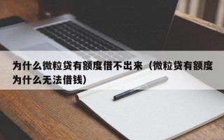 为什么微粒贷有额度借不出来（微粒贷有额度为什么无法借钱）