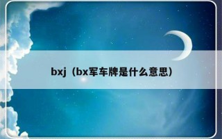 bxj（bx军车牌是什么意思）