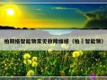 柏斯格智能锁常见故障维修（柏椛智能锁）