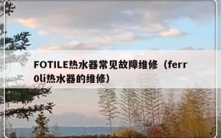 FOTILE热水器常见故障维修（ferr0li热水器的维修）